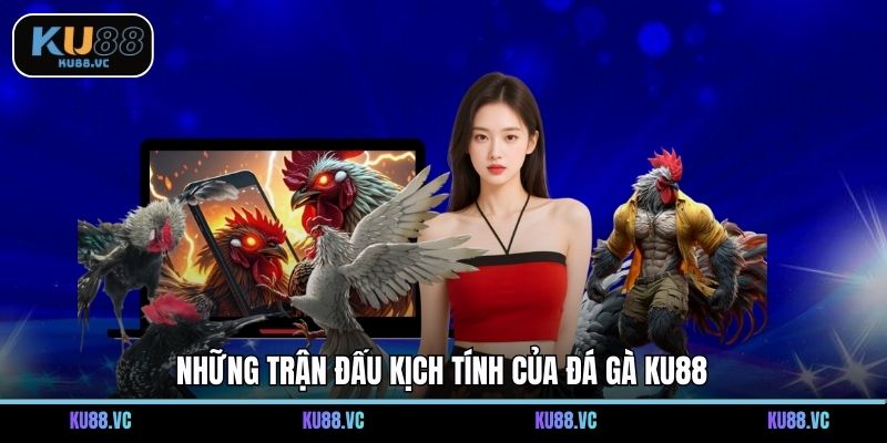 Những trận đấu kịch tính của đá gà KU88