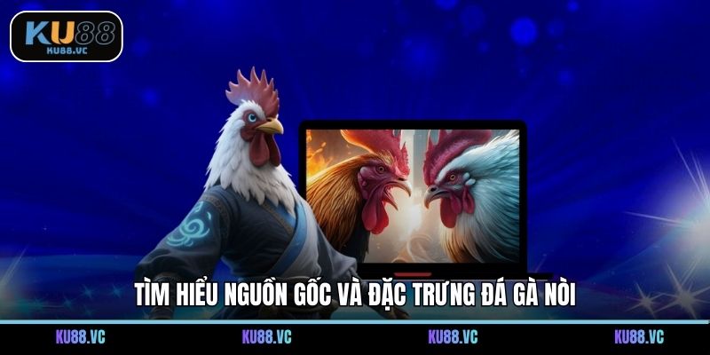 Tìm hiểu nguồn gốc và đặc trưng đá gà nòi